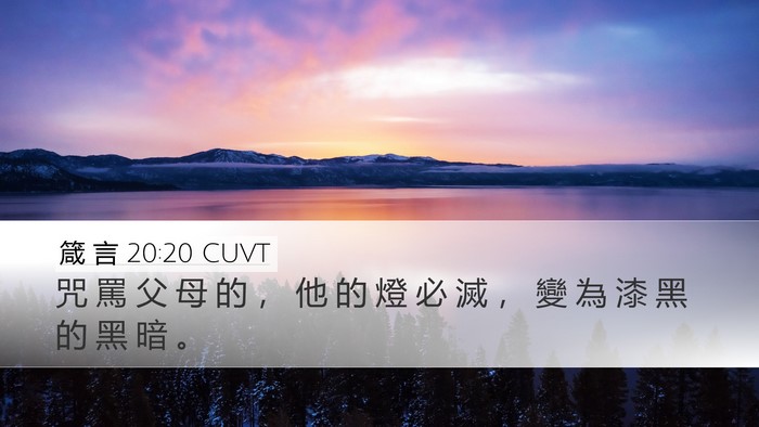 箴 言 20:20 CUVT Bible Verse Image