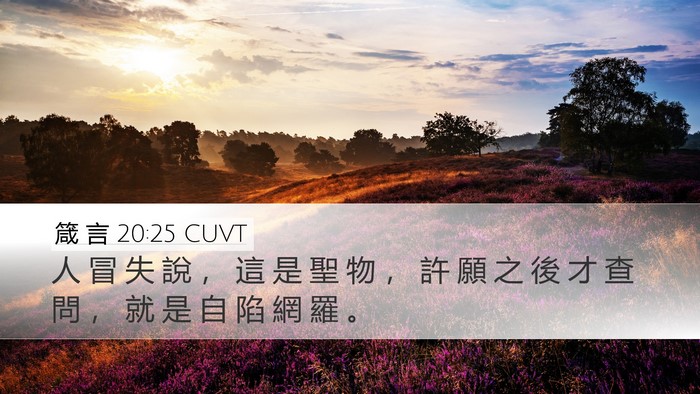 箴 言 20:25 CUVT Bible Verse Image