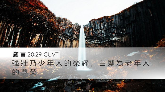 箴 言 20:29 CUVT Bible Verse Image