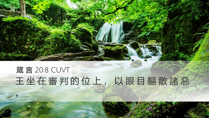 箴 言 20:8 CUVT Bible Verse Image