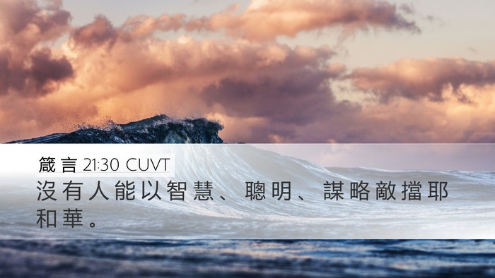 箴 言 21:30 CUVT Bible Verse Image
