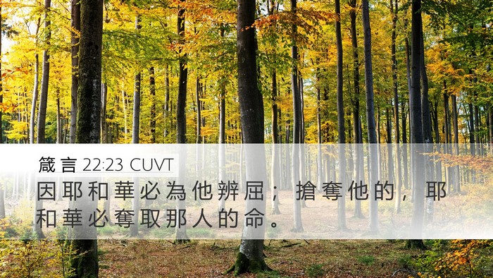 箴 言 22:23 CUVT Bible Verse Image