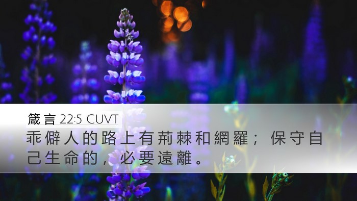 箴 言 22:5 CUVT Desktop Wallpaper - 乖 僻 人 的 路 上 有 荊 棘 和 網 羅 - Desktop Bible Verse Wallpaper