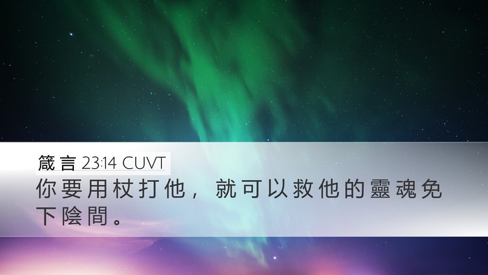 箴 言 23:14 CUVT Bible Verse Image