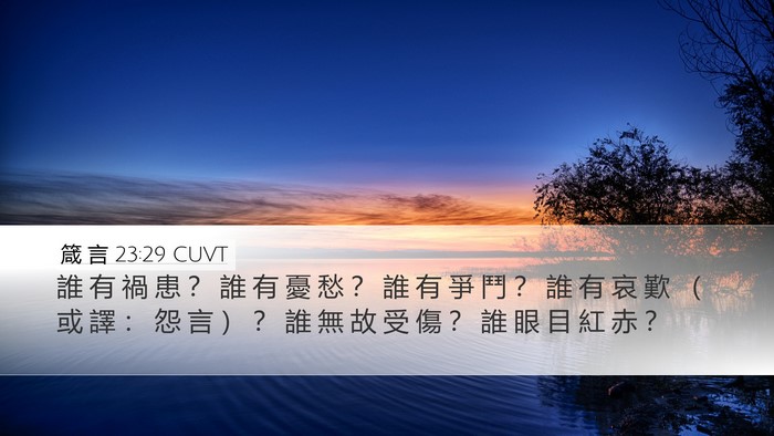 箴 言 23:29 CUVT Bible Verse Image