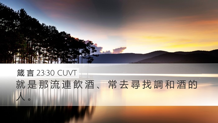 箴 言 23:30 CUVT Bible Verse Image