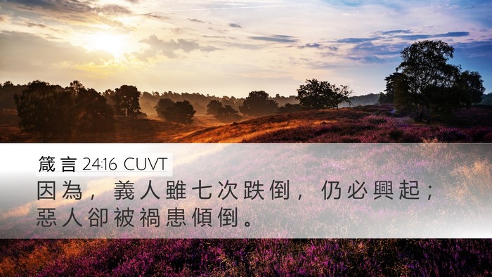 箴 言 24:16 CUVT Bible Verse Image