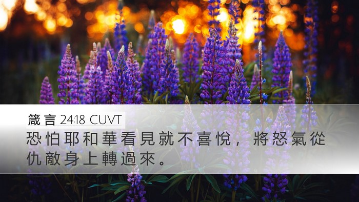 箴 言 24:18 CUVT Desktop Wallpaper - 恐 怕 耶 和 華 看 見 就 不 喜 悅 ， - Desktop Bible Verse Wallpaper