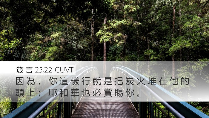箴 言 25:22 CUVT Desktop Wallpaper - 因 為 ， 你 這 樣 行 就 是 把 炭 火 - Desktop Bible Verse Wallpaper