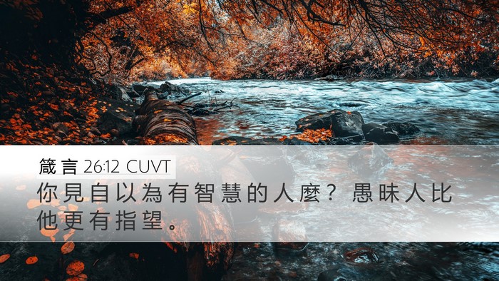 箴 言 26:12 CUVT Bible Verse Image
