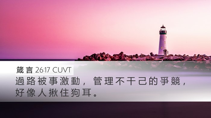 箴 言 26:17 CUVT Desktop Wallpaper - 過 路 被 事 激 動 ， 管 理 不 干 己 - Desktop Bible Verse Wallpaper