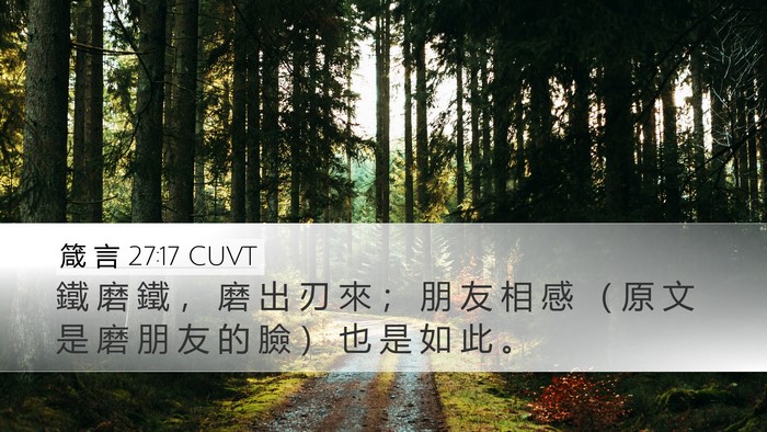 箴 言 27:17 CUVT Bible Verse Image
