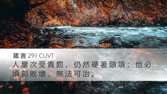 箴 言 29:1 CUVT Bible Verse Image