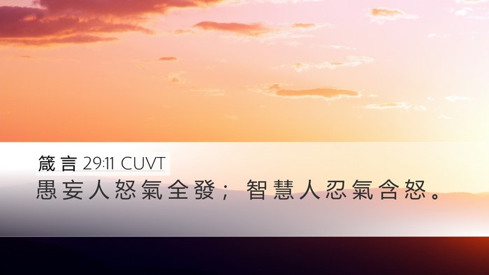 箴 言 29:11 CUVT Bible Verse Image