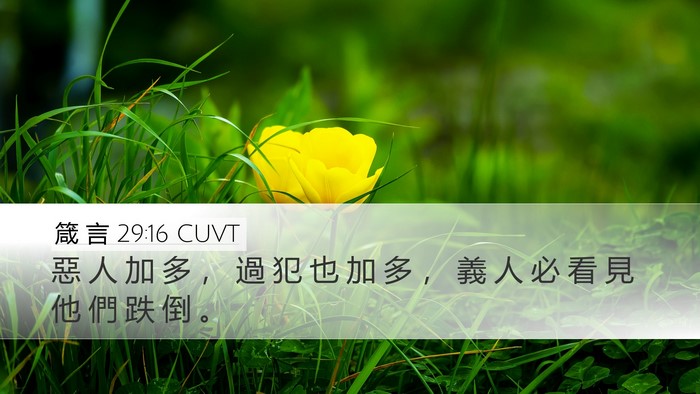 箴 言 29:16 CUVT Bible Verse Image