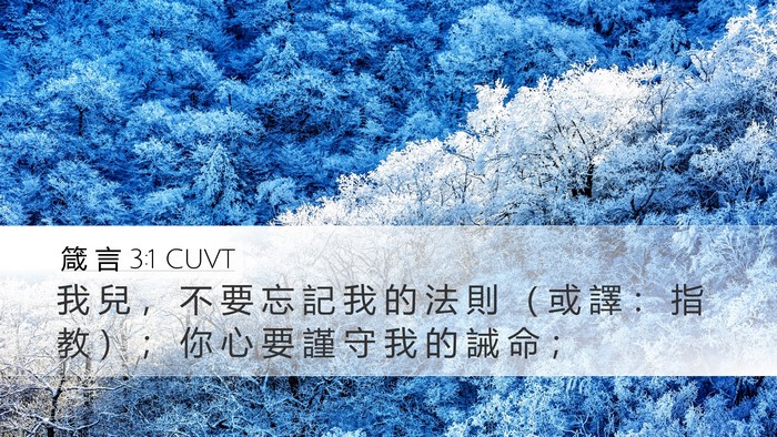 箴 言 3:1 CUVT Bible Verse Image
