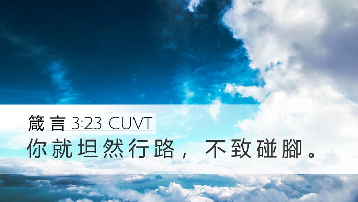 箴 言 3:23 CUVT Bible Verse Image