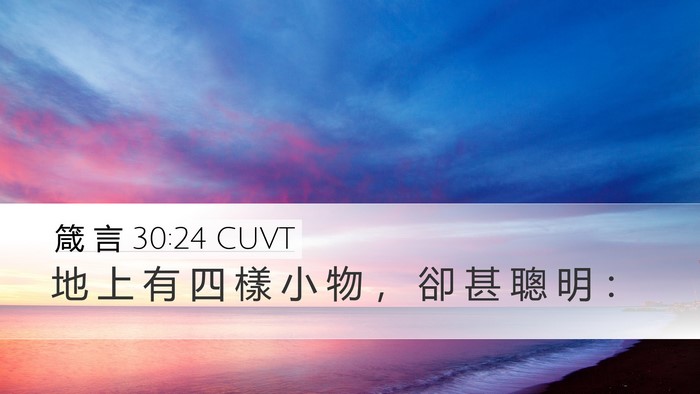 箴 言 30:24 CUVT Bible Verse Image
