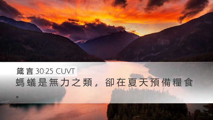 箴 言 30:25 CUVT Bible Verse Image