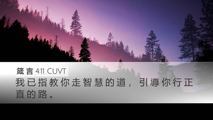 箴 言 4:11 CUVT Desktop Wallpaper - 我 已 指 教 你 走 智 慧 的 道 ， 引 - Desktop Bible Verse Wallpaper