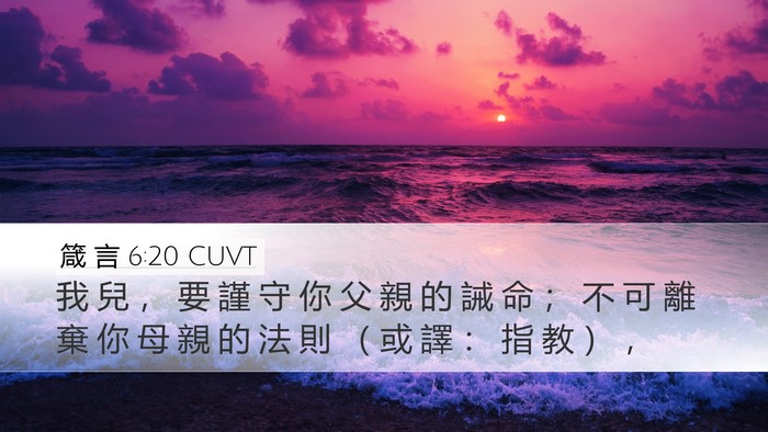 箴 言 6:20 CUVT Bible Verse Image