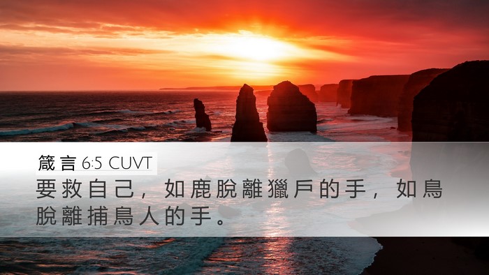 箴 言 6:5 CUVT Bible Verse Image