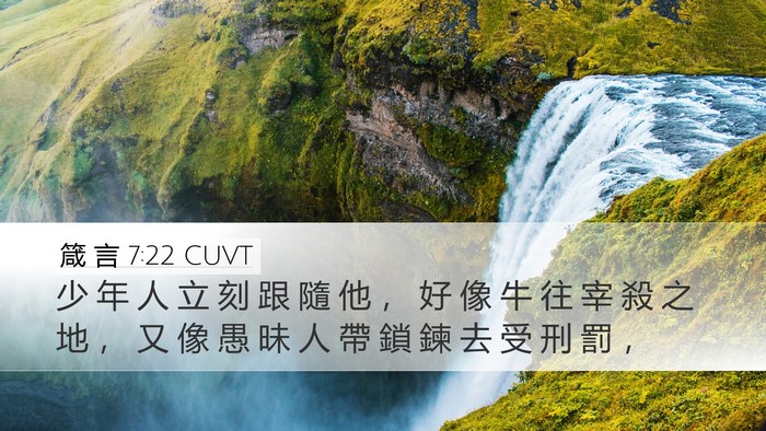 箴 言 7:22 CUVT Bible Verse Image
