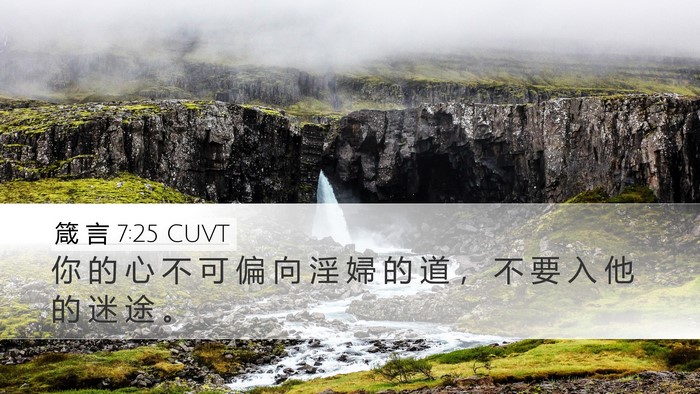 箴 言 7:25 CUVT Bible Verse Image