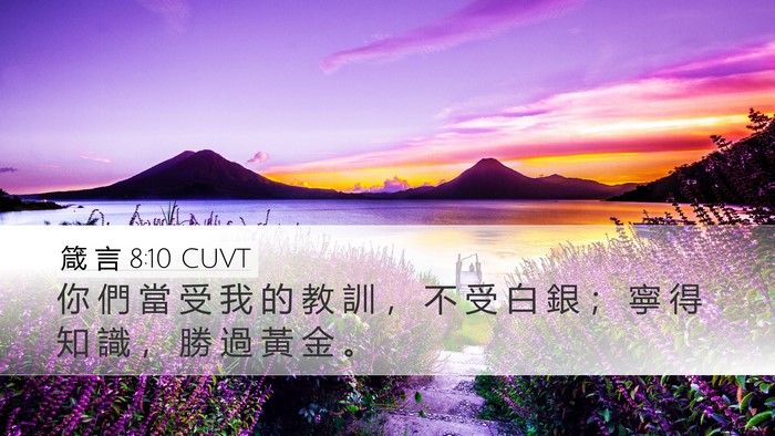 箴 言 8:10 CUVT Desktop Wallpaper - 你 們 當 受 我 的 教 訓 ， 不 受 白 - Desktop Bible Verse Wallpaper