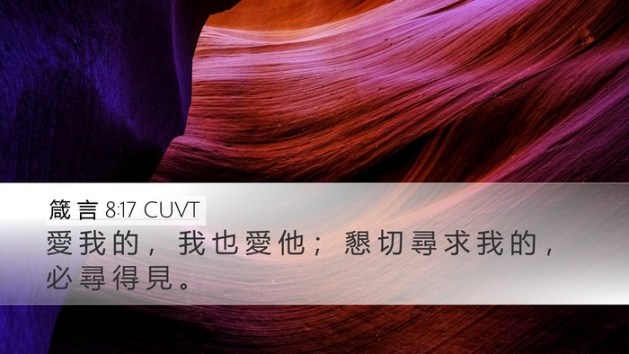 箴 言 8:17 CUVT Bible Verse Image