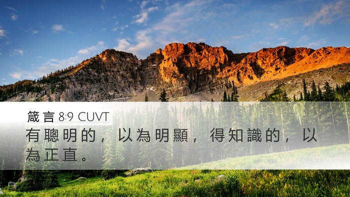 箴 言 8:9 CUVT Desktop Wallpaper - 有 聰 明 的 ， 以 為 明 顯 ， 得 知 - Desktop Bible Verse Wallpaper