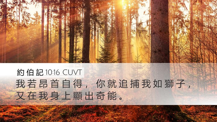 約 伯 記 10:16 CUVT Bible Verse Image