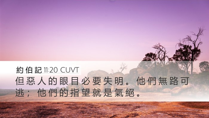 約 伯 記 11:20 CUVT Bible Verse Image
