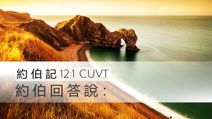 約 伯 記 12:1 CUVT Desktop Wallpaper - 約 伯 回 答 說 - Desktop Bible Verse Wallpaper