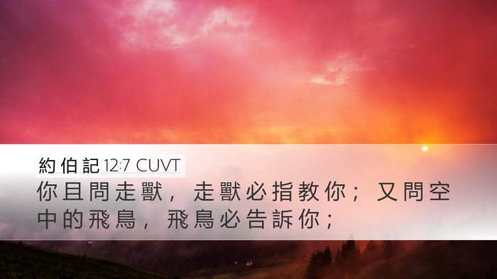 約 伯 記 12:7 CUVT Bible Verse Image