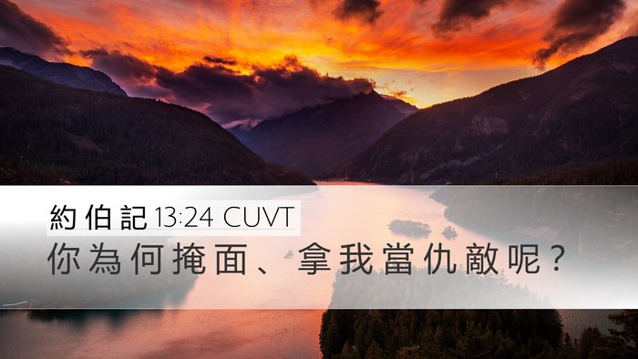 約 伯 記 13:24 CUVT Bible Verse Image
