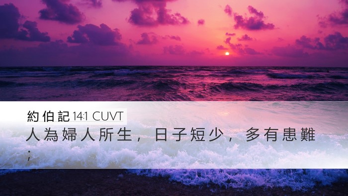約 伯 記 14:1 CUVT Bible Verse Image