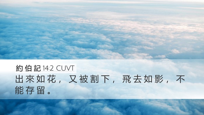 約 伯 記 14:2 CUVT Bible Verse Image