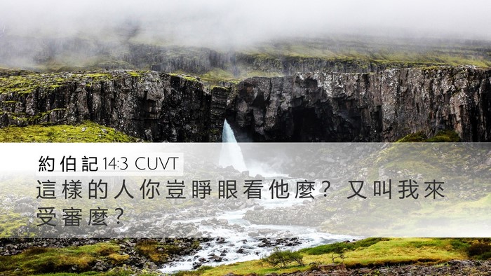 約 伯 記 14:3 CUVT Bible Verse Image