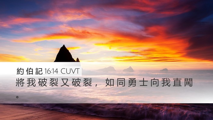 約 伯 記 16:14 CUVT Bible Verse Image