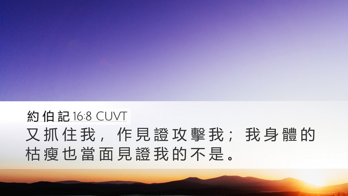 約 伯 記 16:8 CUVT Bible Verse Image