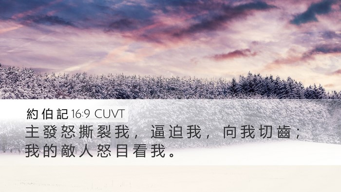 約 伯 記 16:9 CUVT Bible Verse Image