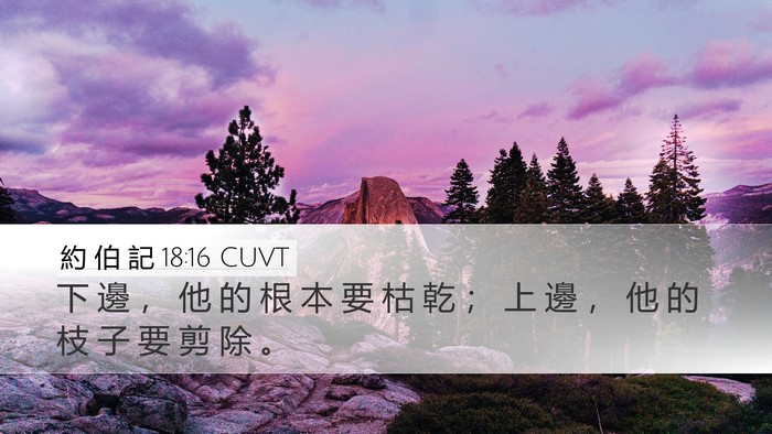約 伯 記 18:16 CUVT Bible Verse Image