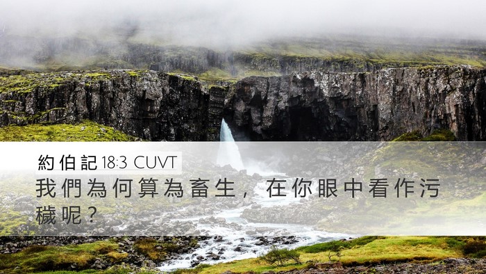約 伯 記 18:3 CUVT Bible Verse Image