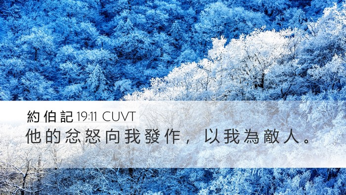 約 伯 記 19:11 CUVT Bible Verse Image