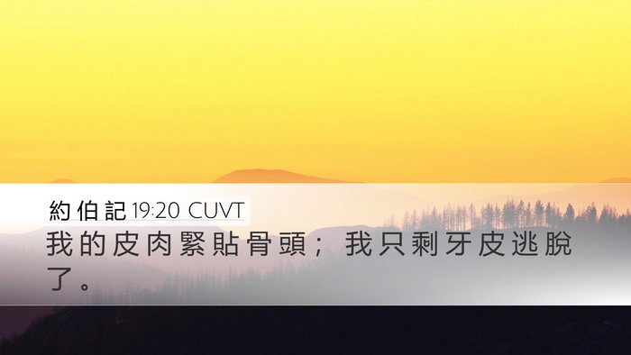 約 伯 記 19:20 CUVT Bible Verse Image
