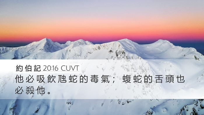 約 伯 記 20:16 CUVT Bible Verse Image