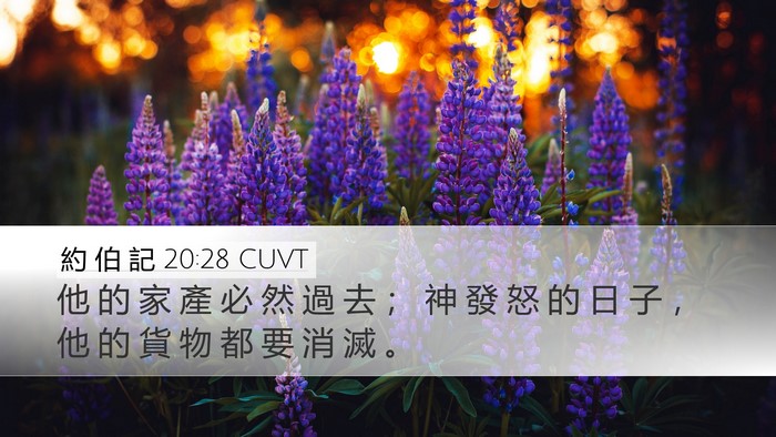 約 伯 記 20:28 CUVT Bible Verse Image