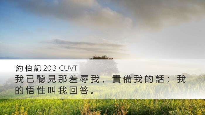 約 伯 記 20:3 CUVT Bible Verse Image