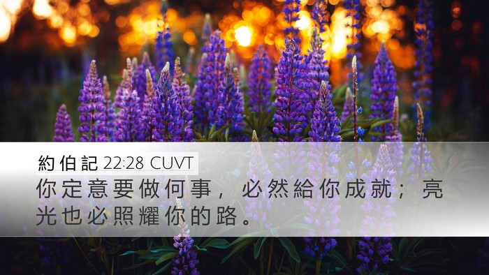 約 伯 記 22:28 CUVT Bible Verse Image